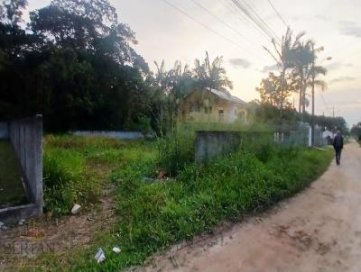 Terreno para Venda, em S�o Francisco do Sul, bairro Sandra Regina