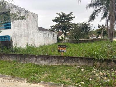 Terreno para Venda, em S�o Francisco do Sul, bairro Ubatuba